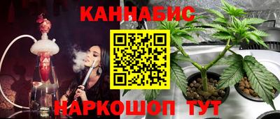 стаф Гусев