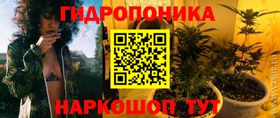 spice Гусиноозёрск